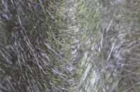 Boness fibreglass roof work